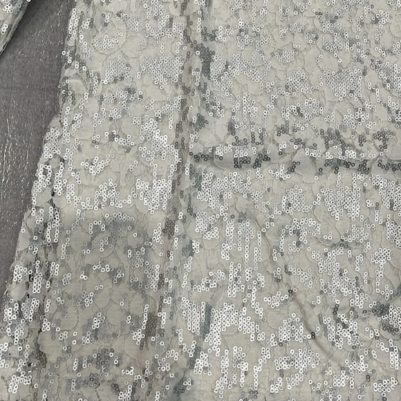 Banana Republic White Lace Silver Matte Sequins 3/4 Sleeve Blouse - Picture 5 of 14